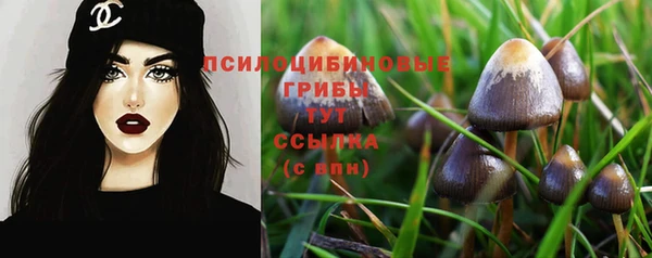 спайс Абдулино