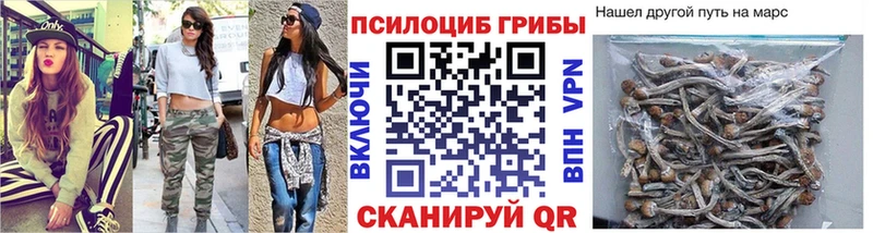 Псилоцибиновые грибы мухоморы  магазин продажи наркотиков  OMG рабочий сайт  Тула 